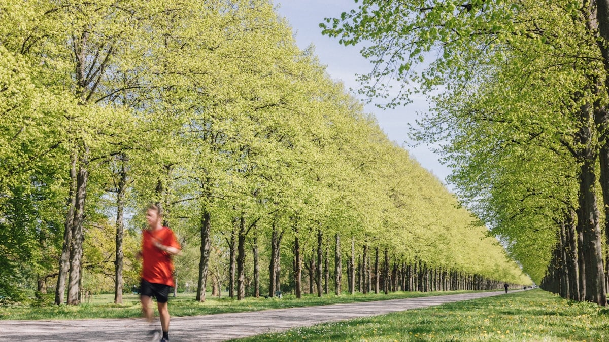 a man running down a tree lined road